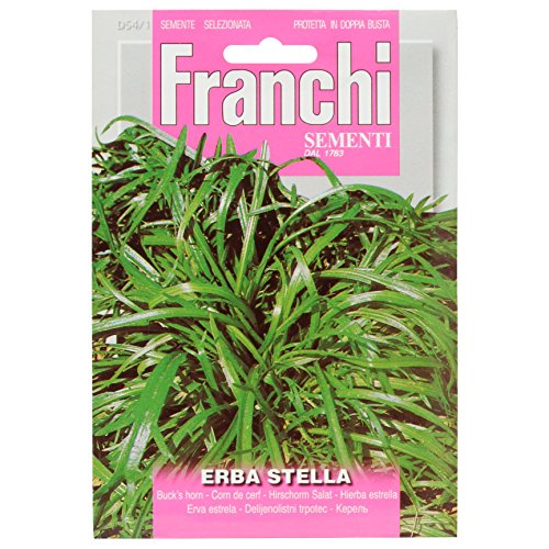 Sementi In Bustina Di Piante Officinali E Aromatiche (Erba Stella)