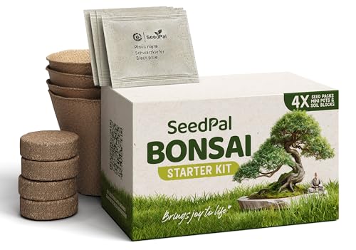 Easy Bonsai Kit - Coltivazione Kit Bonsai 4 Diversi Semi Bonsai - Il Tuo Bellissimo Albero Bonsai Vero - Set Regalo Sostenibile/Set Piantare Con Istru