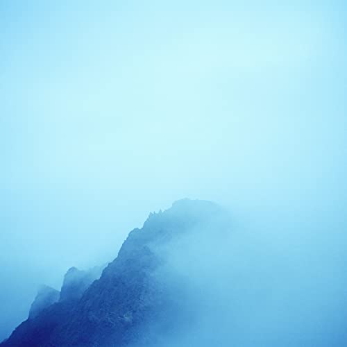 Himorogi [Vinyl]