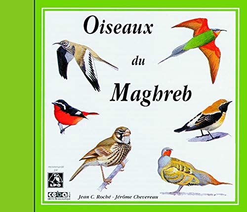 Birds Of North-West Africa