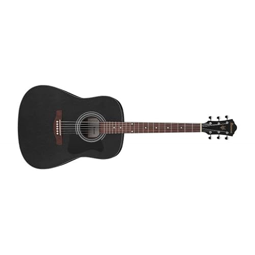 Ibanez Acoustic Guitar / V54Njpwk