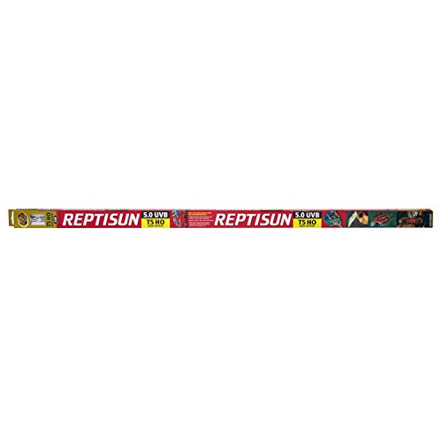 Zoomed T6016754 Lampada Reptisun