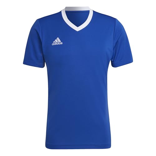 Adidas Entrada 22 Short Sleeve Jersey, T-Shirt Uomo, Team Royal Blue, L