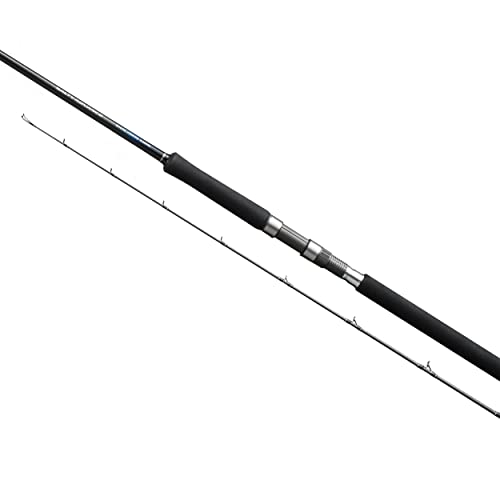Shimano Salty Advance Spinning Shore Jig