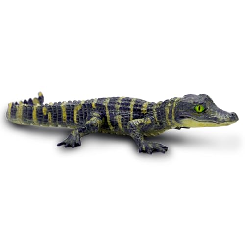 Safari Ltd Alligator Baby | New