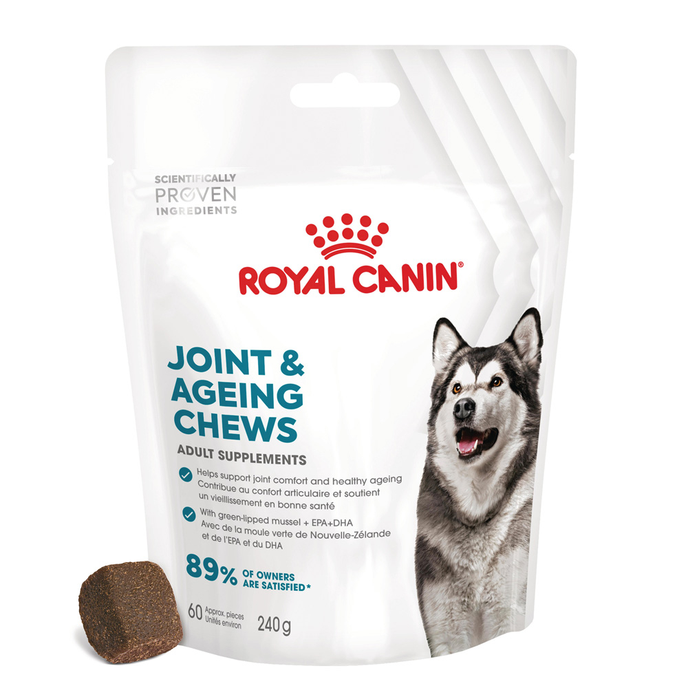 Royal Canin Joint & Ageing Chews Adult Supplement Snack cane - 240 g (60 pz)