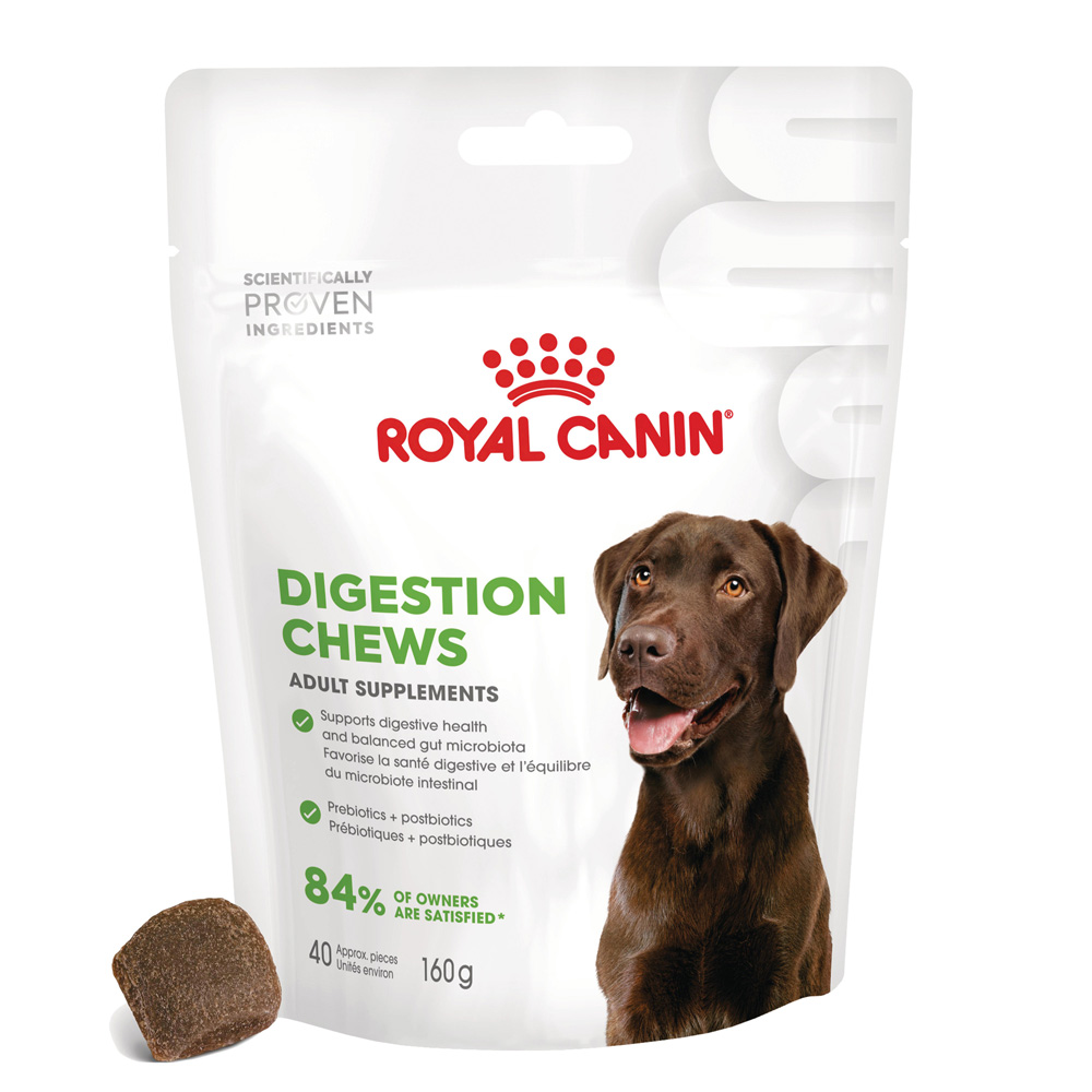 Royal Canin Digestion Chews Adult Supplement Snack cane - 160 g (40 pz)