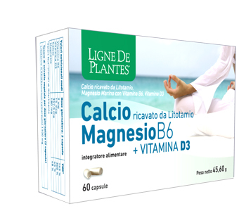 CALCIOMG B6VITD3 60 CPS NSE