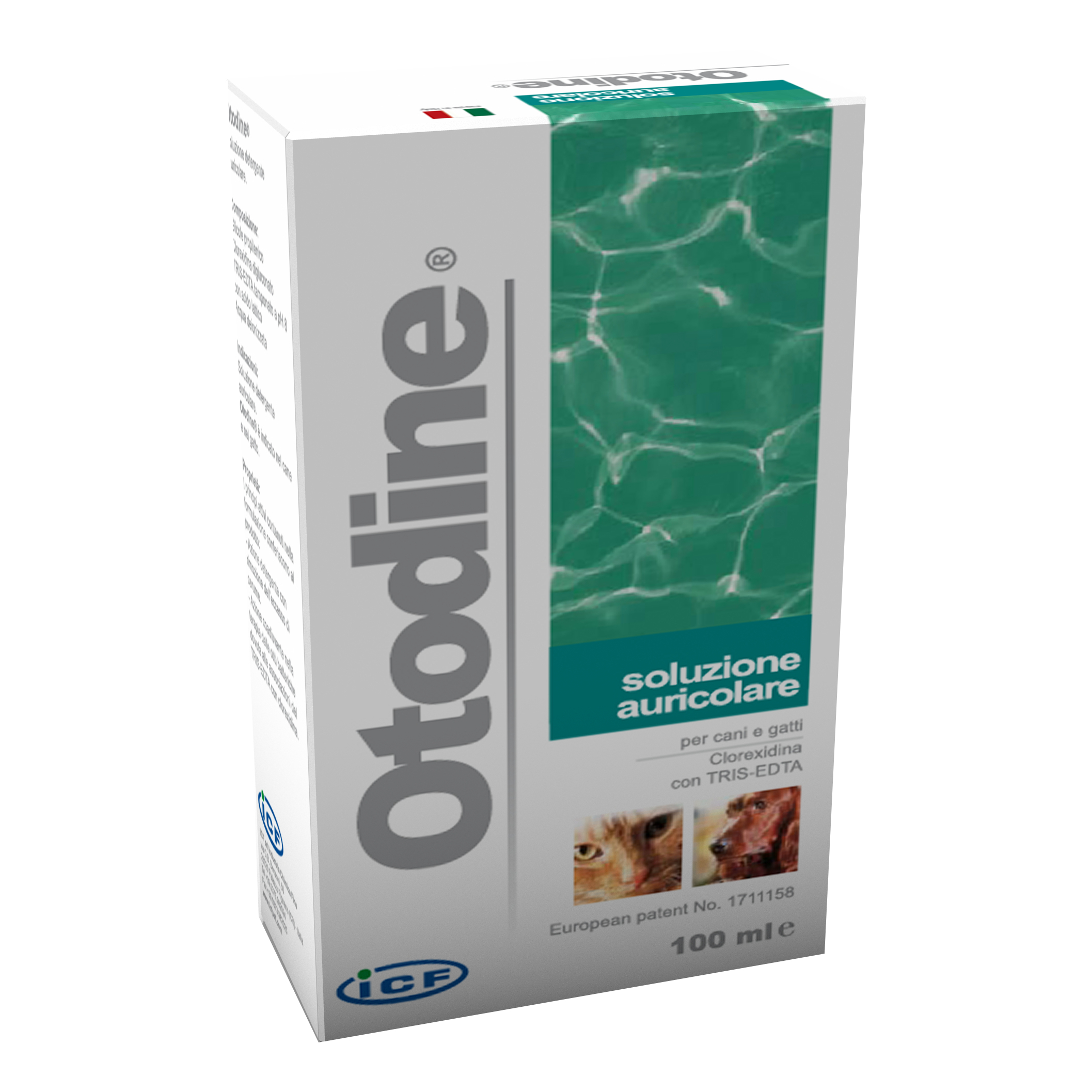 OTODINE DETLIQ100ML