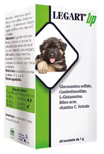 LEGART UP Vet.60 Cpr