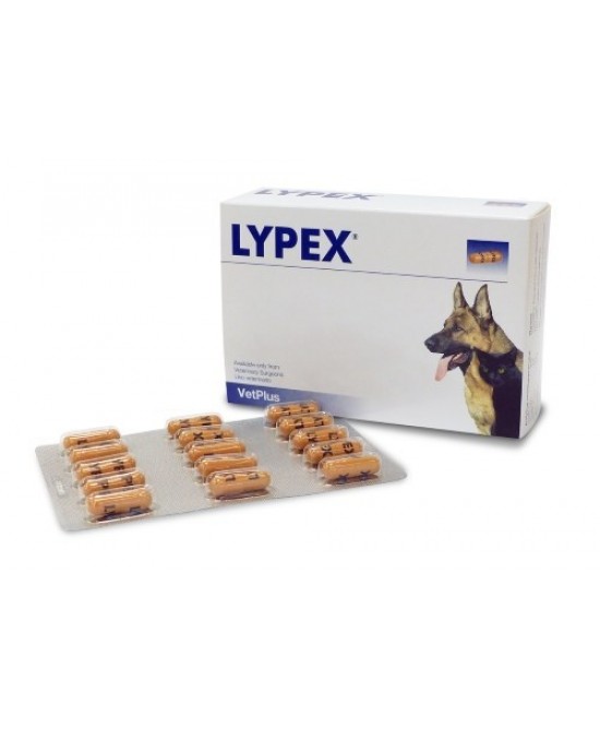 LYPEX 60 Cps