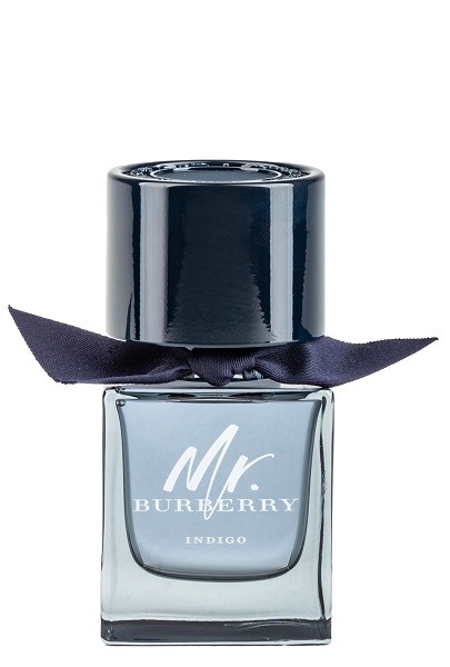 Burberry Mr. Burberry Indigo Eau de Toilette per uomo 100 ml 100 ml