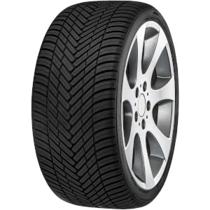205 55 R16 91H Fortuna Ecoplus2 4S