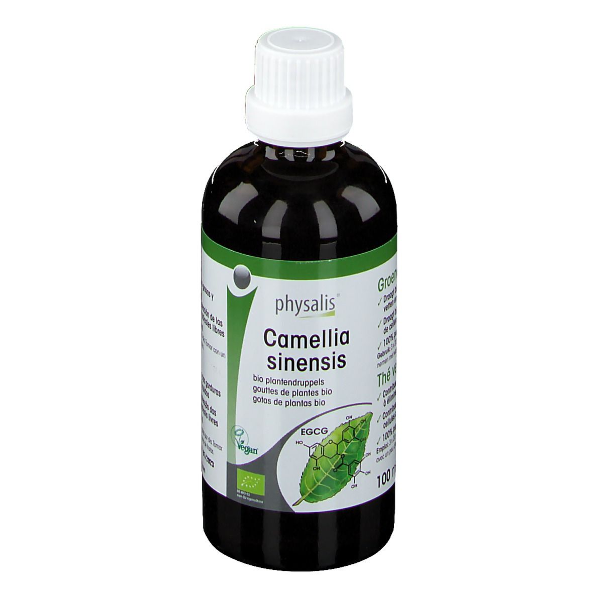 Physalis Camellia Sinensis Bio 100 ml Gocce