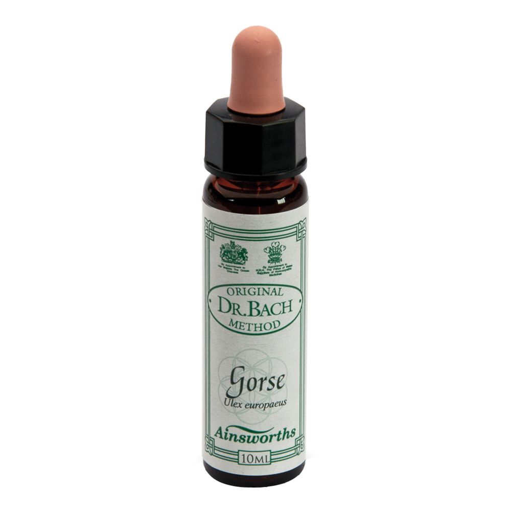 Ainsworths Dr.Bach n°13 Gorse Ulex Europaeus 10 ml Gocce orali