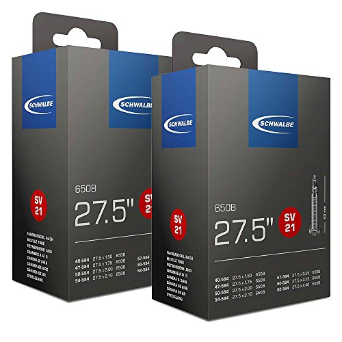 Schwalbe (Syuwarube) X/2.40 Per Tubo Valvola 仏式 21Sv Set Di 2 [Parallel Import Goods]
