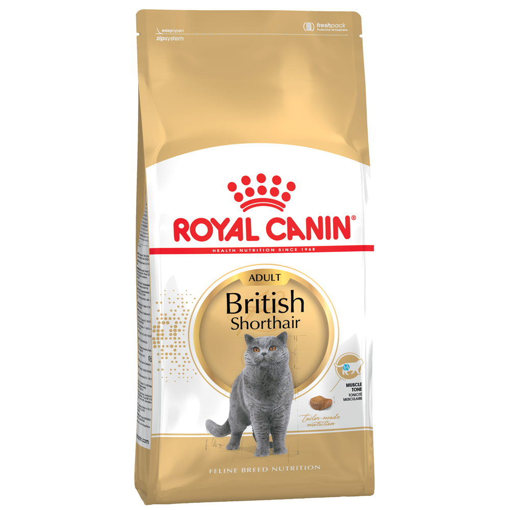 Royal Canin British Shorthair Adult Crocchette per gatto - 4 kg