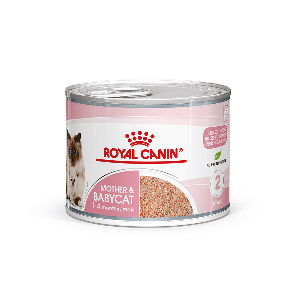 Royal Canin Mother & Babycat Mousse ultra soffice - 12 x 195 g