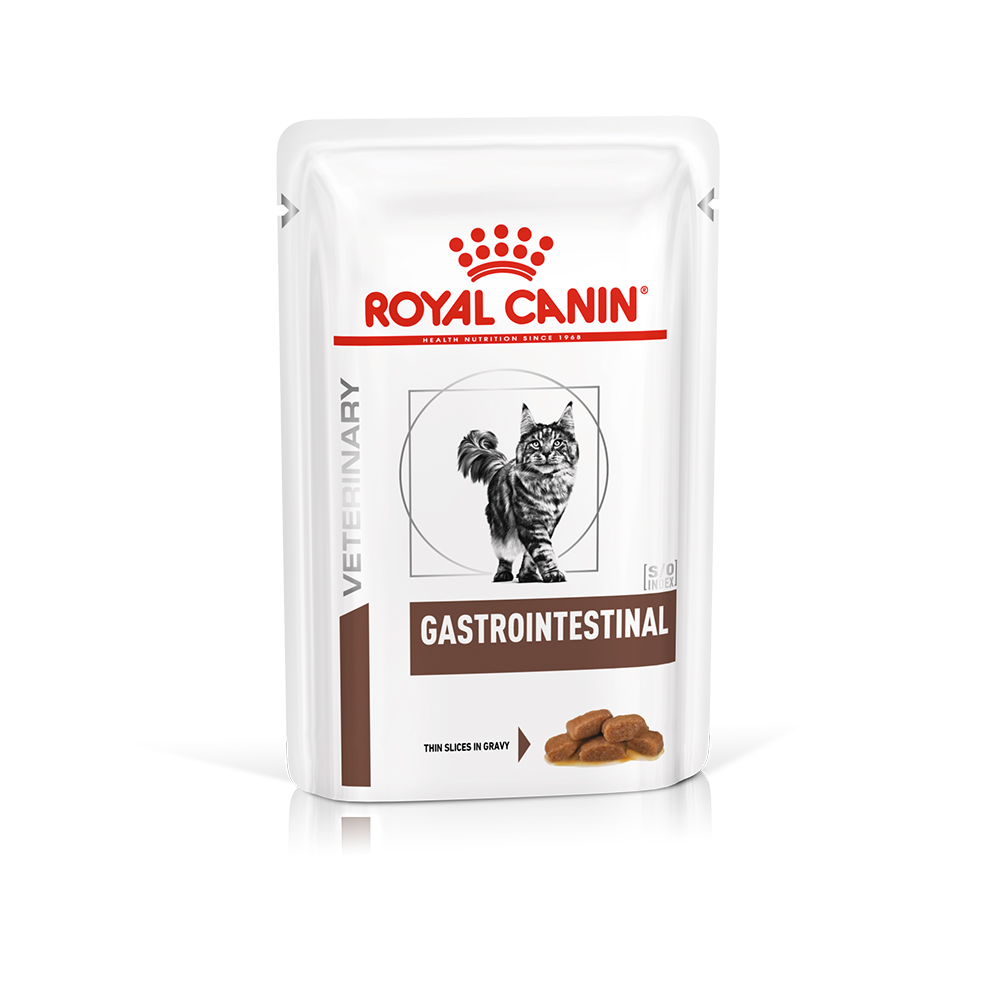 Royal Canin Gastrointestinal Feline Veterinary umido gatto - 12 x 85 g
