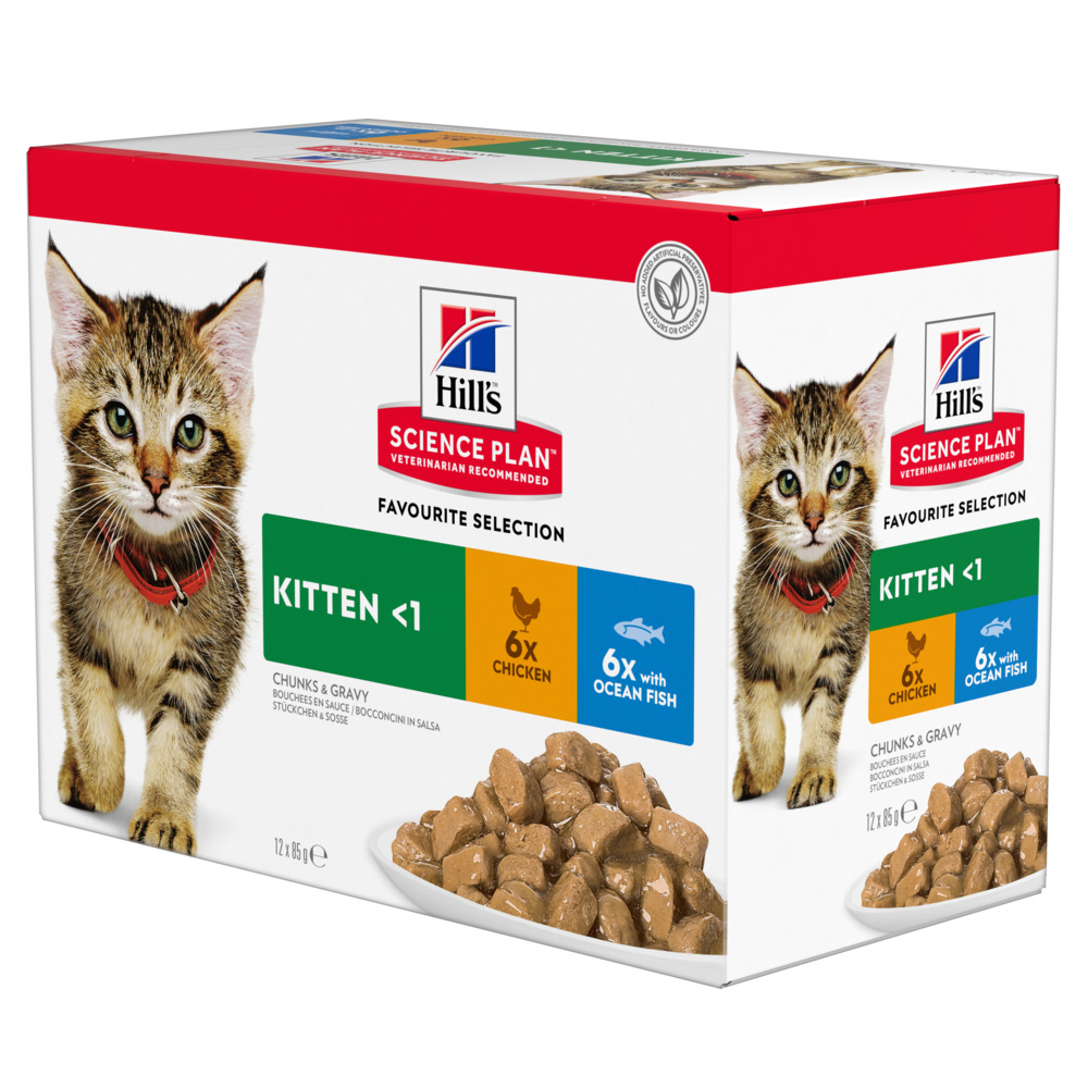 Hill's Science Plan Kitten Alimento umido per gattini - 12 x 85 g Selezione di Pesce