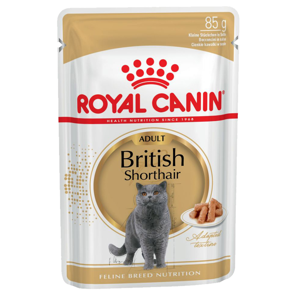 Royal Canin British Shorthair Adult umido in Salsa per gatti - 12 x 85 g