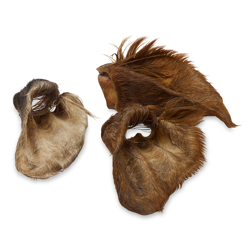 Multipack risparmio! Wolf of Wilderness Orecchie selvatiche - 4 x 120 g Orecchie di manzo con pelo (480 g, 12 pz)