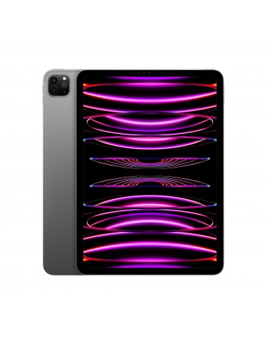 IPAD PRO 11 WI-FI 128GB GRIGIO SIDERALE