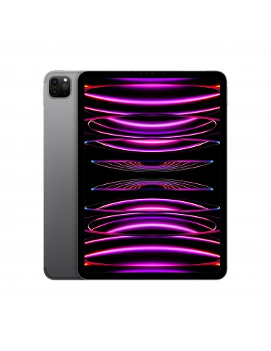 IPAD PRO 11 WI-FI + CELLULAR 256GB GRIGIO SID