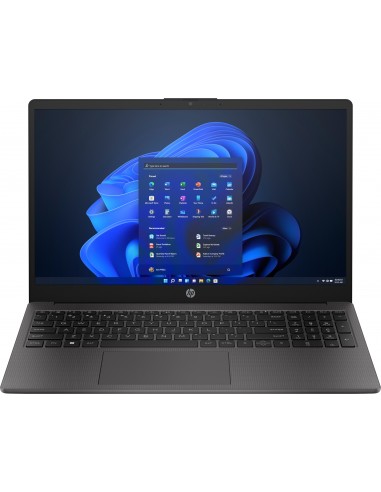 250 G10 I5-1334U 8/256 W11P 2YW