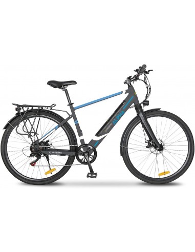 ARGENTO ALPHA CITY BIKE Bicicletta Elettrica 250 W 70 km Grigio