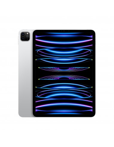 IPAD PRO 11 WI-FI 128GB ARGENTO