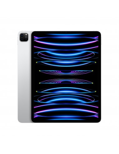 IPAD PRO 12 WI-FI 128GB ARGENTO