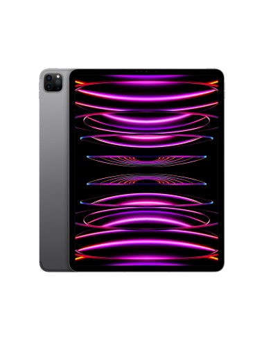 IPAD PRO 12 WI-FI + CELLULAR 256GB GRIGIO SID