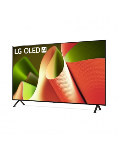 48 OLED B46 4K UHD WEBOS24 PIED LAT
