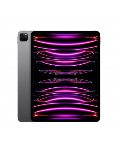 IPAD PRO 12 WI-FI 128GB GRIGIO SIDERALE