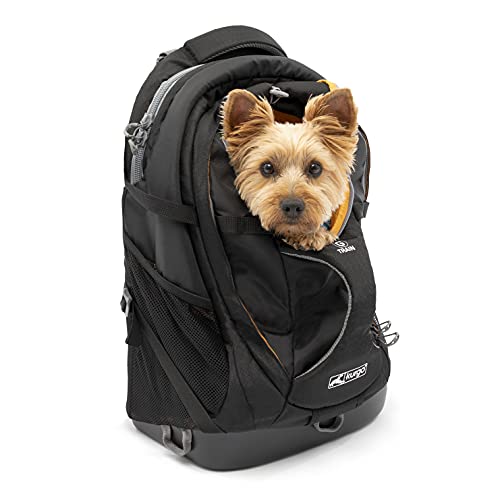 Kurgo Zaino Kurgo Trasportino Cani Per Cani Di Piccola Taglia E Gatti, Zaino Per Animali Domestici G-Train (Nero) - 1999 Ml