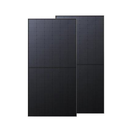 Anker SOLIX 2 Pannelli solari