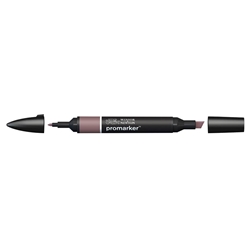 Pennarelli doppia punta Winsor&Newton shale R215