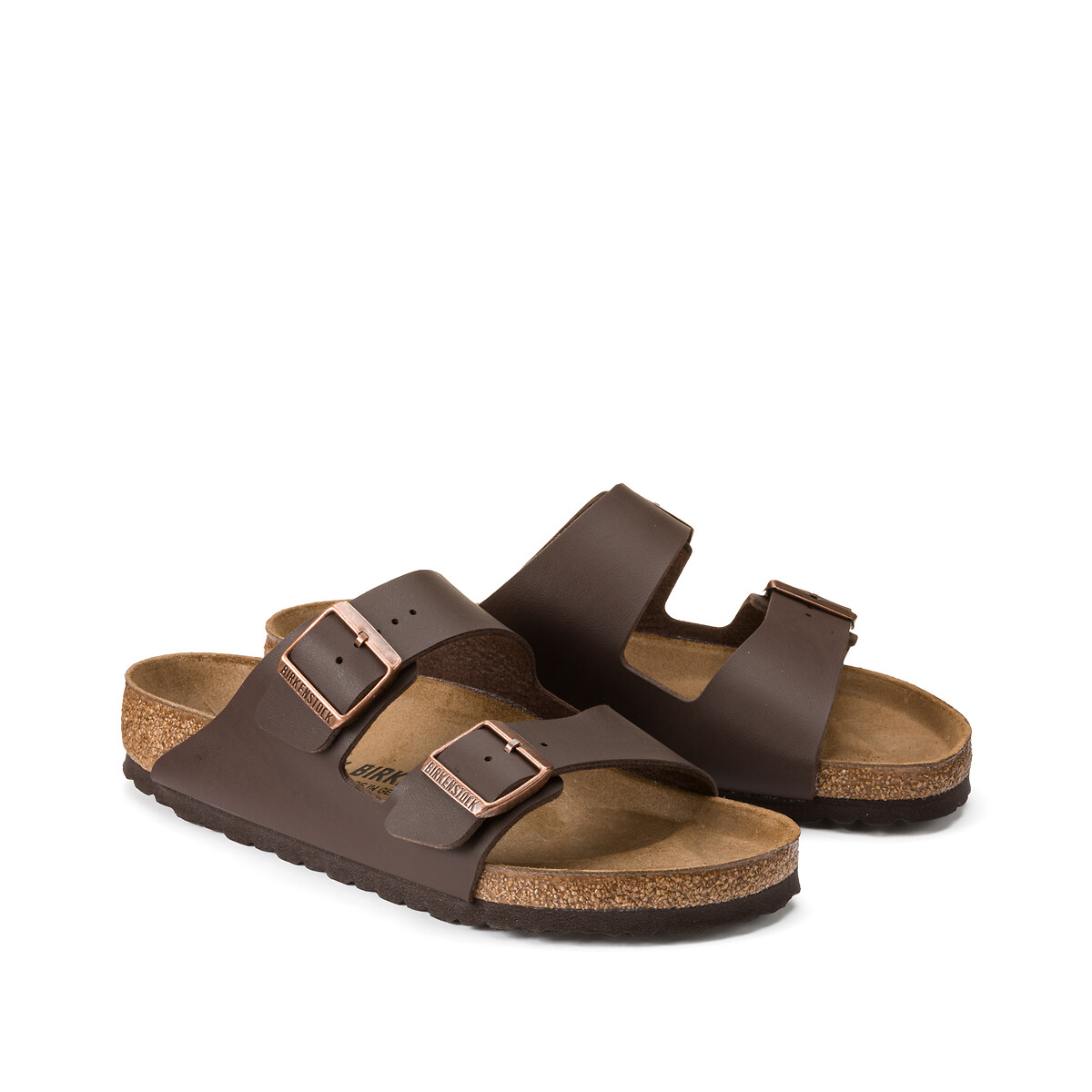 Sabot Arizona
