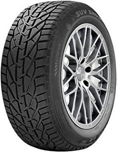 Riken Snow 225/45 R17 91 H Inverno