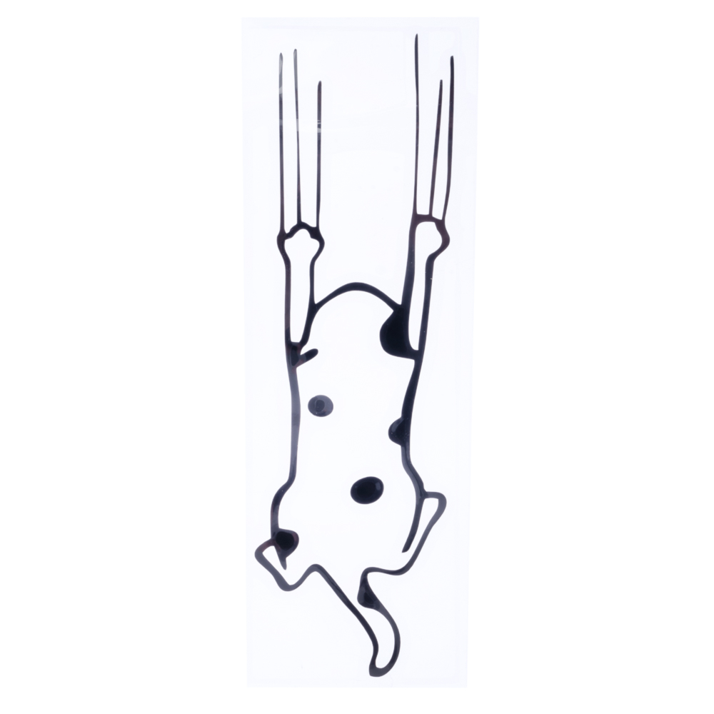 TIAKI "Scratching Cat" -puskuritarra 16x5cm kissa