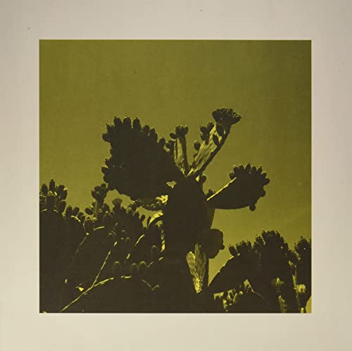 Slow Dance [Vinyl]