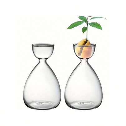 2 pezzi di piccoli vasi portasemi per avocado, kit per la coltivazione di alberi di avocado, vasi di vetro per piante di avocado, regali per gli amant