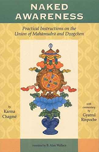 Naked Awareness: Practical Instructions On The Union Of Mahamudra And Dzogchen (English Edition)