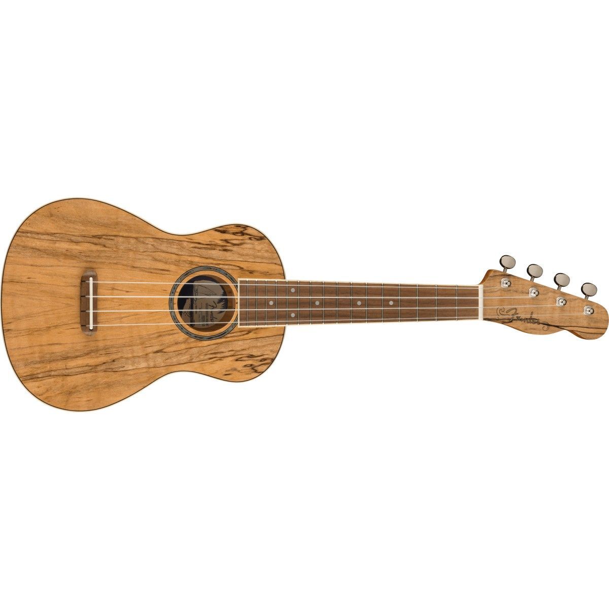 Ukulele Fender Zuma Concert Uke, Spalted Wn 0970450594