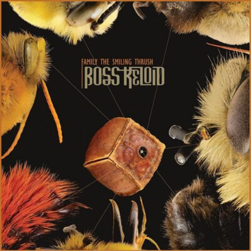 Boss Keloid Family the Smiling Thrush (CD) Album