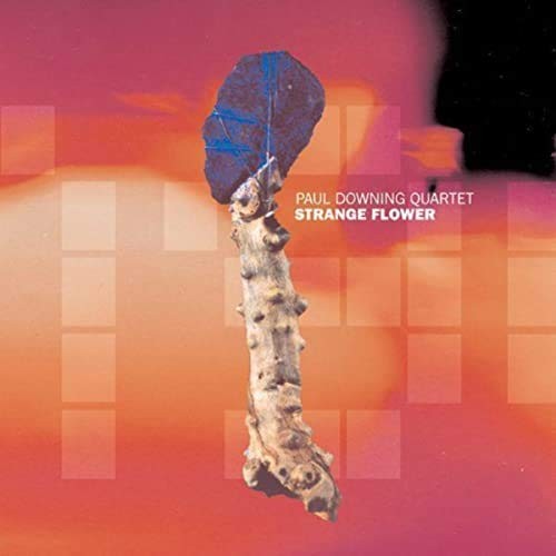 Paul Downing Quartet Strange Flower (CD)