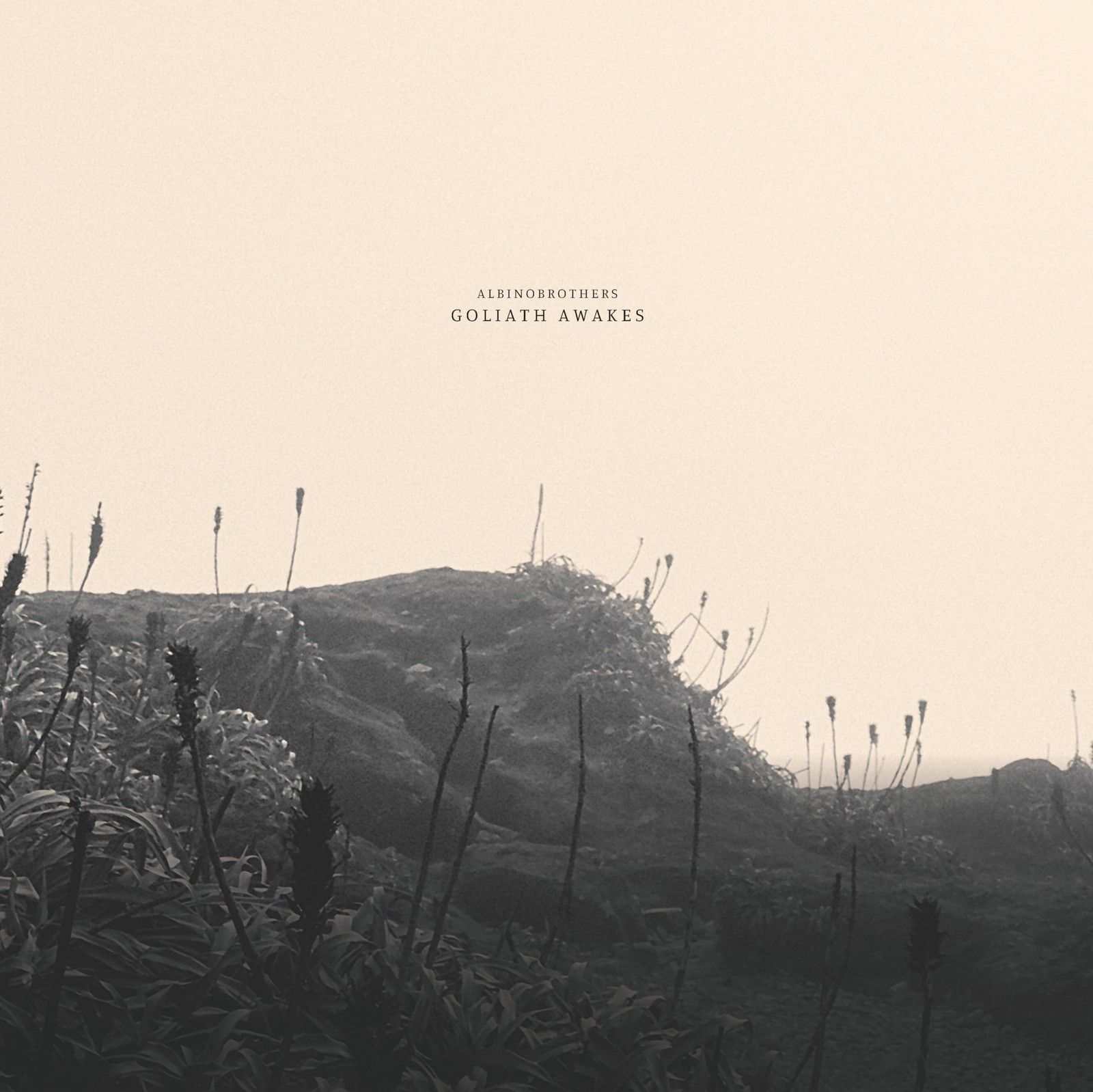 Albinobrothers Goliath Awakes (Vinyl LP)