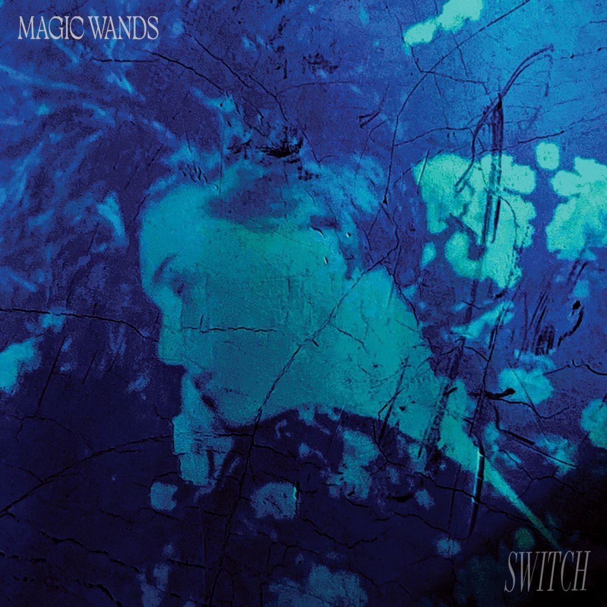 Magic Wands Switch (CD) Album