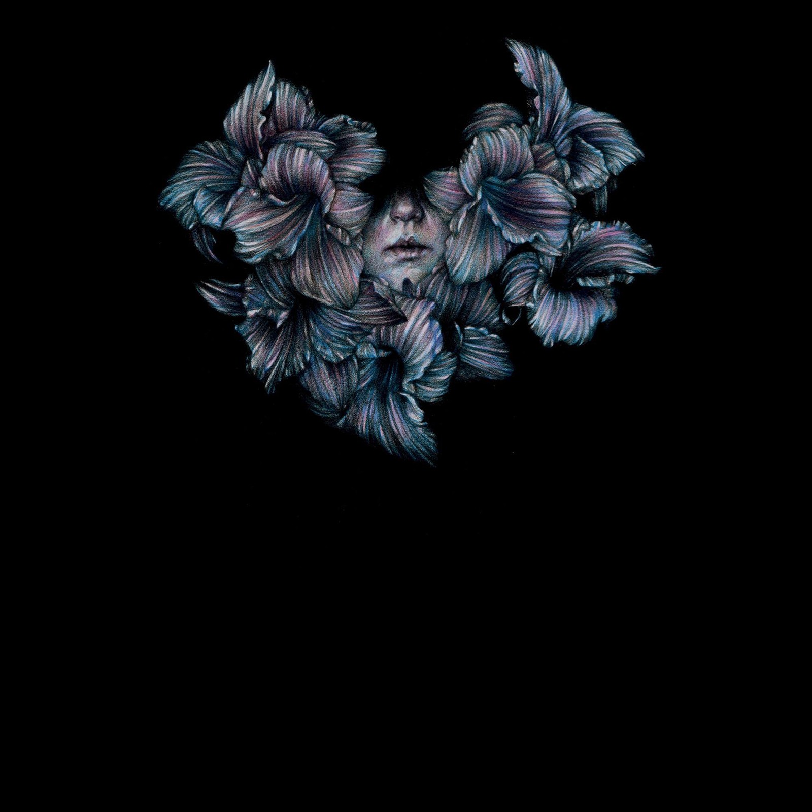 A Lot Like Birds Divisi (CD)